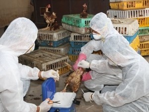 В Ханое подведены итоги 4-летнего выполнения инициативы по борьбе с птичьим гриппом - ảnh 1